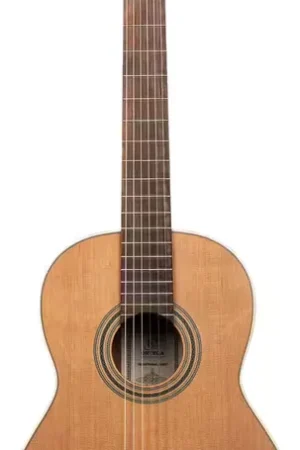 Ortega Traditional 4/4 + Pro Gig Bag - Offre exceptionnelle