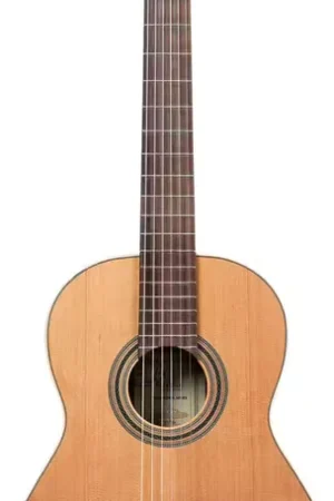 Ortega Traditional 4/4 + Pro Gig Bag - Achetez dès maintenant