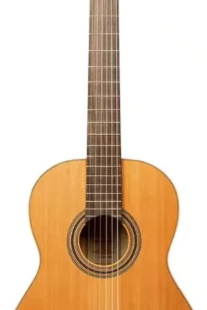 Livraison rapide - Ortega Traditional 4/4 + Pro Gig Bag