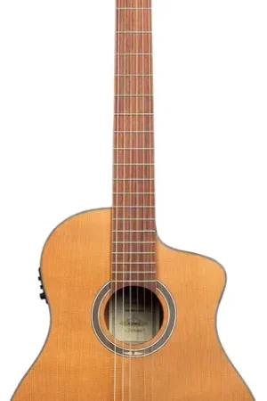 Ortega Thermo 4/4 + Pro Gig Bag | Offre à durée limitée