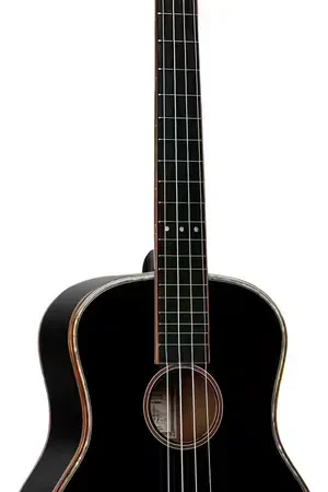 Ortega Onyx Baritone Ukulele 4 + Pro Gig Bag - Aujourd'hui seulement