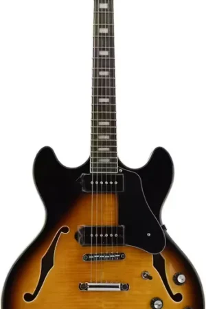 Sire Larry Carlton H7V VS En - STOCK B | Offre exclusive