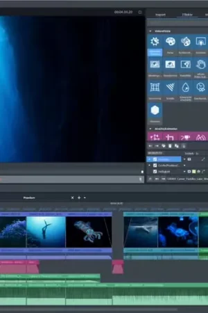 Dernières pièces - Magix Video deluxe Ultimate