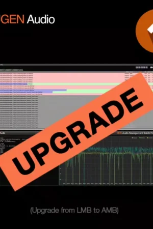 Expédition immédiate - Nugen Audio AMB < LMB UPG