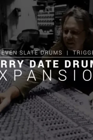 Prix cassé | Steven Slate Audio SSD Terry Date expansion