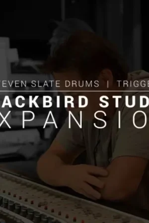 Commandez en ligne - Steven Slate Audio TRIGGER 2 Blackbird expansion