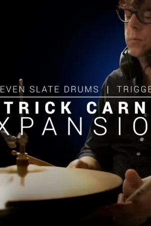 Steven Slate Audio Patrick Carney SSD and Trigger 2 EXP | Prix mini