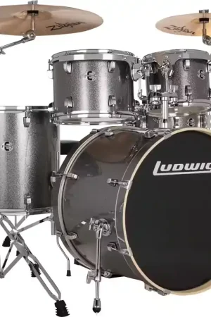 En stock | Ludwig Drums Stage 22" Evolution Platinum