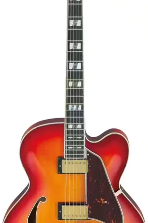 Expédition immédiate | Ibanez AF115AWB Aged Whiskey Burst Artstar