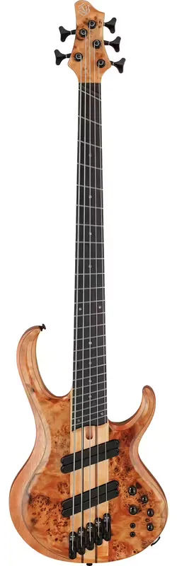 Derniers jours | Ibanez BTB805MSFNL Florid Natural Bass Workshop