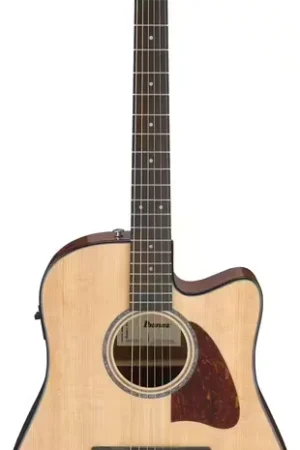 Ibanez AAD51CENT Advanced Natural | Produit phare