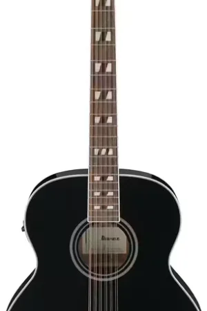 Bon plan | Ibanez AJ7012M1EBK Artwood Black