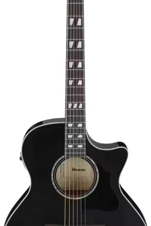Achetez en ligne - Ibanez AE170TBK Transparent Black