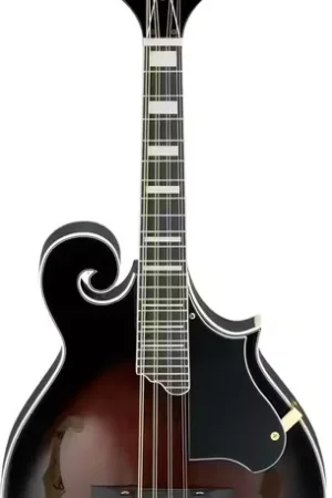 Ibanez M522SDVS Dark Violin Sunburst High Gloss | Remise supplémentaire