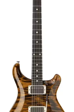 Derniers jours | PRS DGT Tiger Eye Moons