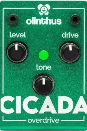 Olinthus Cicada - Overdrive | Retour facile