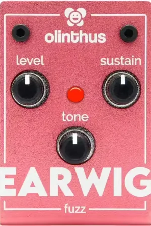 Nouveau | Olinthus Earwig - Fuzz