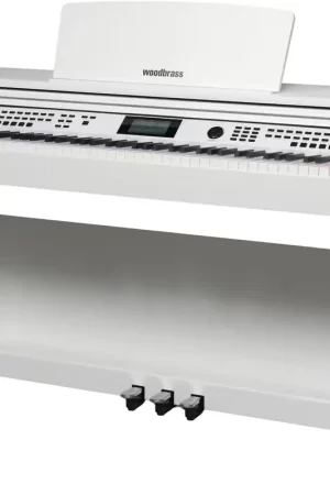 Woodbrass DP3 Blanc | Offre limitée