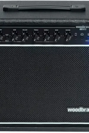 Woodbrass GE820 20W - Reconditionné - Très apprécié des clients