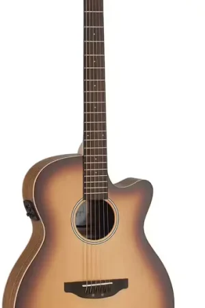 Retour facile - Applause Jump OM Electro CW Peach Burst AEO-69-PB