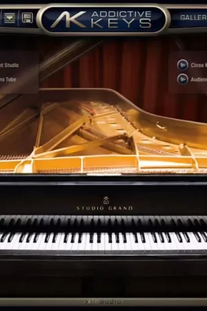 Très apprécié des clients | XLN Audio AK Studio Grand
