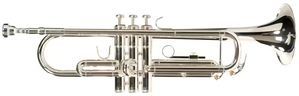 Nouveau | Woodbrass WTP400S - Si b Argentée - STOCK B