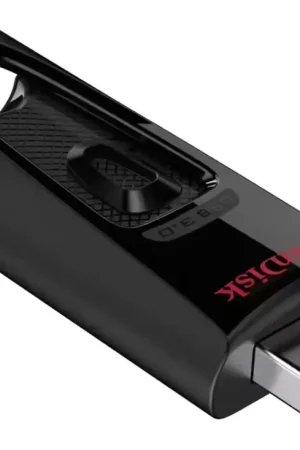 Plus que quelques pièces | Sandisk Ultra USB3.0 256G