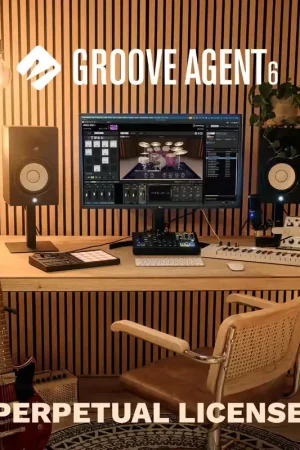 Steinberg Groove Agent 6 | Commandez maintenant