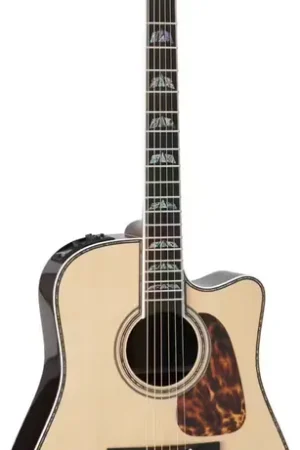 Bientôt épuisé - Takamine Dreadnought Cutaway Electro P10DC