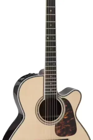 Très demandé | Takamine Nex Cutaway Electro P10NC