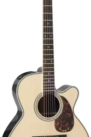 Prix imbattable - Takamine Nex Cutaway Electro RNV460C