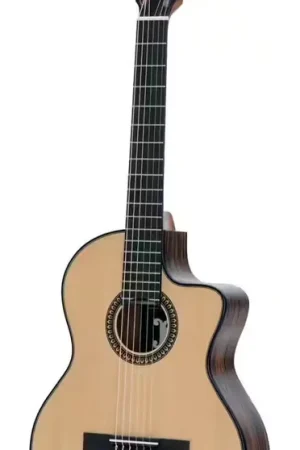 Expédition express - Pleyel P800CE Expression + Housse