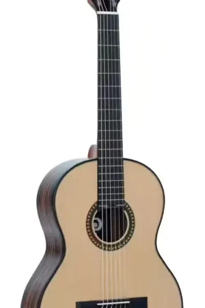 Promotion | Pleyel P800 Expression 4/4 + Housse