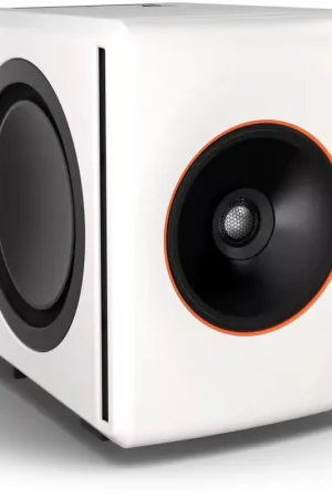 Coup de cœur - Palmer Orbit 11 W