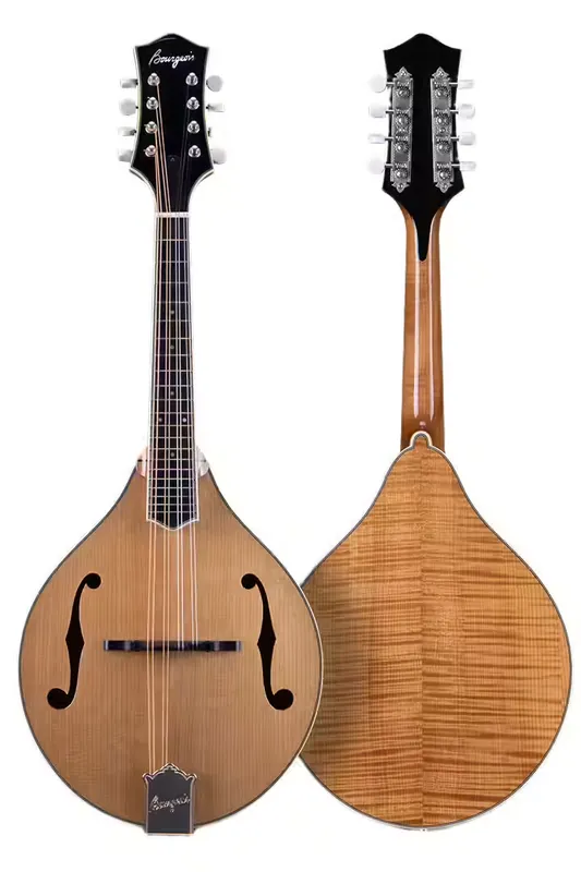 Bourgeois Guitars M5-A - Affaire à saisir