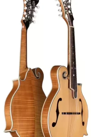 Bourgeois Guitars M5-F - Coup de cœur