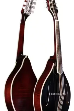 Commandez en ligne - Bourgeois Guitars M5-A-BT