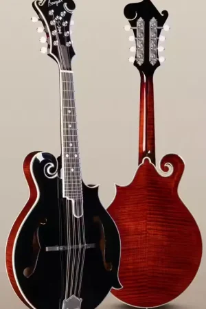Bourgeois Guitars M5-F-BT | Disponible maintenant