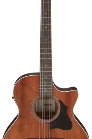 Ibanez AE140 Open Pore Natural - Stock limité
