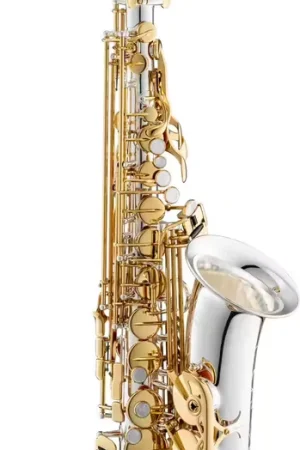 Jupiter JAS1150SGQ Verni/Argenté | Dernières pièces