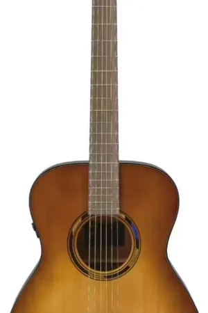 Yamaha TAS1E Sand Burst - Réduction