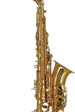 Gewa Ambition AS501 Alto Mib Verni - Top des ventes