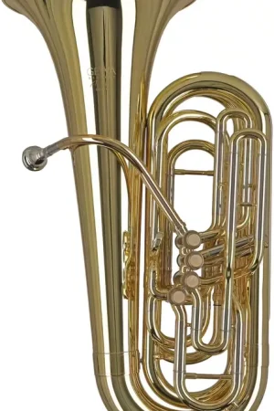 Dépêchez-vous | Gewa Ambition BB501C Contrebasse Ut Verni