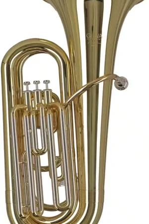 Gewa Ambition BB650 Contrebasse Sib Verni - Haute qualité