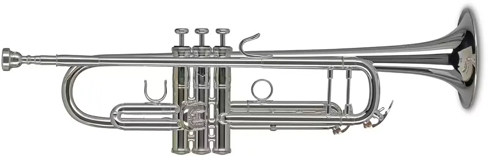 Achat sécurisé - Gewa Vision TR372S Sib Argentée