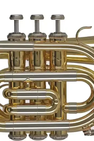 Gewa Ambitition PT650 Sib Vernie | Disponible à la commande