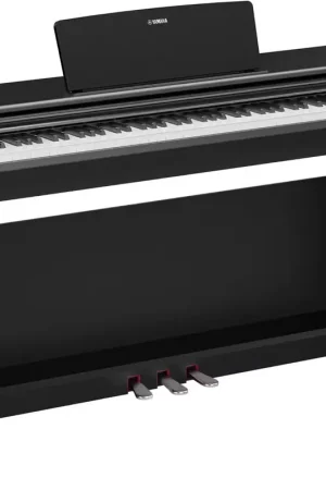 Yamaha YDP-146 Noir | Réduction spéciale