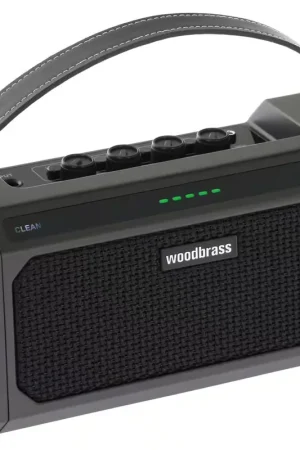 Disponible maintenant - Woodbrass GE10 10W Noir - Reconditionné