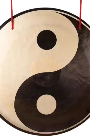 Coup de cœur - Sela Percussion Wind Gong Yin & Yang 24"