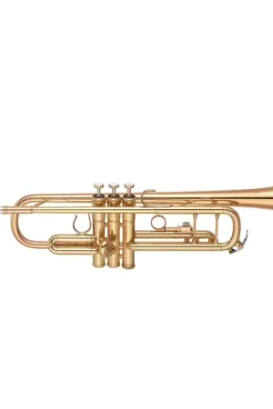 Premium | Yamaha YTR8335EA Sib Vernie